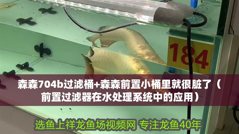森森704b過濾桶+森森前置小桶里就很臟了（前置過濾器在水處理系統中的應用）