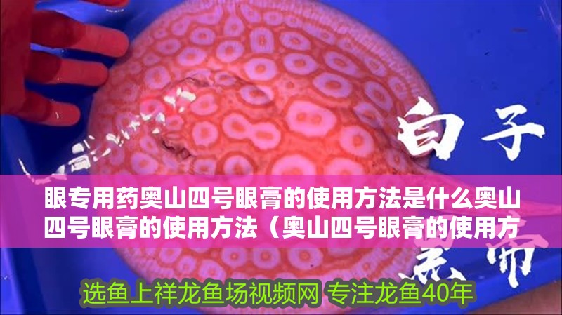 眼專用藥奧山四號眼膏的使用方法是什么奧山四號眼膏的使用方法（奧山四號眼膏的使用方法）