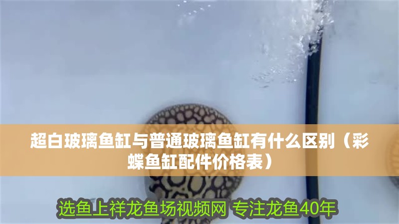 超白玻璃魚缸與普通玻璃魚缸有什么區別（彩蝶魚缸配件價格表）