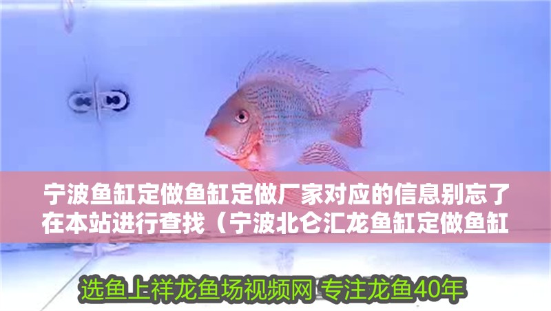 寧波魚缸定做魚缸定做廠家對應的信息別忘了在本站進行查找（寧波北侖匯龍魚缸定做魚缸定做魚缸定做廠家對應的信息）