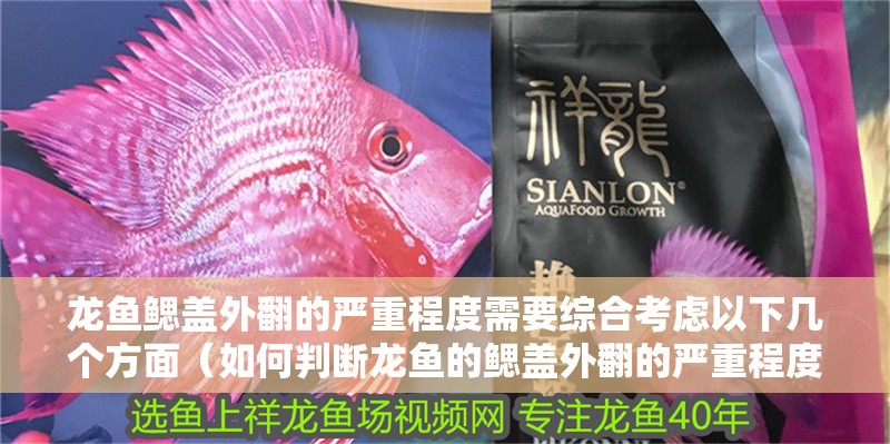龍魚鰓蓋外翻的嚴(yán)重程度需要綜合考慮以下幾個(gè)方面（如何判斷龍魚的鰓蓋外翻的嚴(yán)重程度）