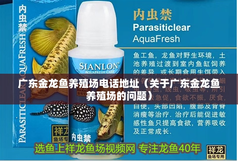 廣東金龍魚養殖場電話地址（關于廣東金龍魚養殖場的問題）