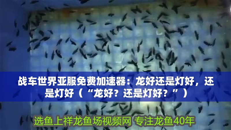 戰車世界亞服免費加速器：龍好還是燈好，還是燈好（“龍好？還是燈好？”）