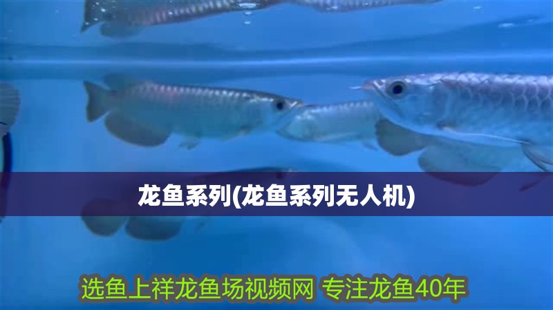 龍魚系列(龍魚系列無人機)