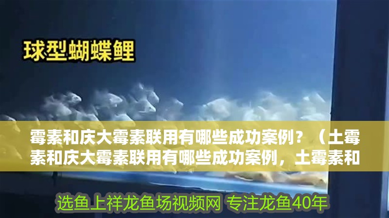 霉素和慶大霉素聯(lián)用有哪些成功案例？（土霉素和慶大霉素聯(lián)用有哪些成功案例，土霉素和慶大霉素聯(lián)合使用）