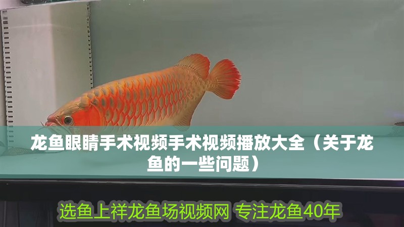 龍魚眼睛手術視頻手術視頻播放大全（關于龍魚的一些問題）