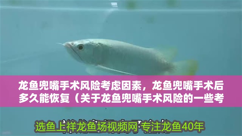 龍魚兜嘴手術風險考慮因素，龍魚兜嘴手術后多久能恢復（關于龍魚兜嘴手術風險的一些考慮因素）