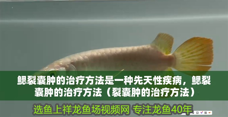 鰓裂囊腫的治療方法是一種先天性疾病，鰓裂囊腫的治療方法（裂囊腫的治療方法）