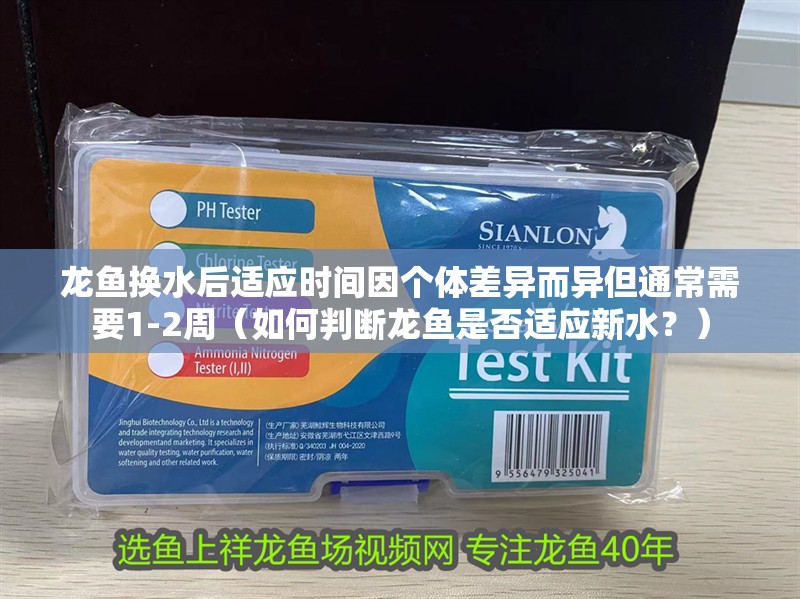 龍魚換水后適應時間因個體差異而異但通常需要1-2周（如何判斷龍魚是否適應新水？）