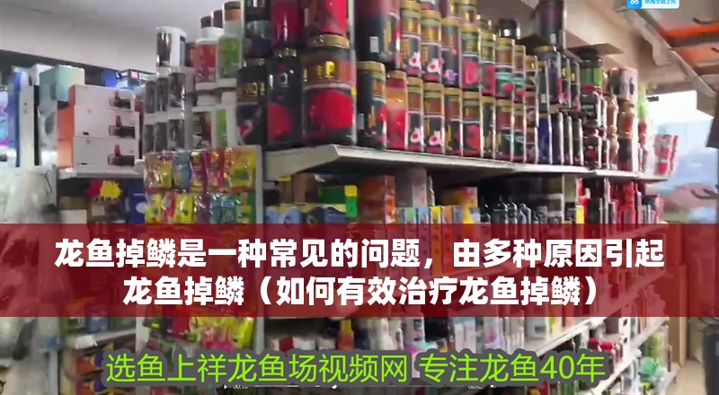 龍魚掉鱗是一種常見的問題，由多種原因引起龍魚掉鱗（如何有效治療龍魚掉鱗）