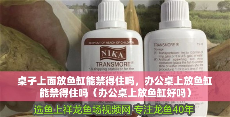 桌子上面放魚缸能禁得住嗎，辦公桌上放魚缸能禁得住嗎（辦公桌上放魚缸好嗎）