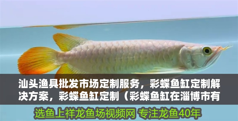 汕頭漁具批發市場定制服務，彩蝶魚缸定制解決方案，彩蝶魚缸定制（彩蝶魚缸在淄博市有哪些定制店？）