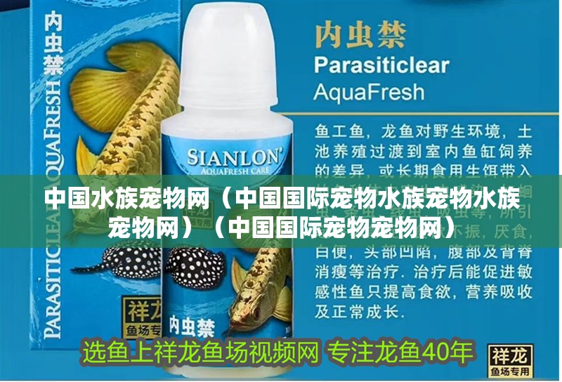 中國(guó)水族寵物網(wǎng)（中國(guó)國(guó)際寵物水族寵物水族寵物網(wǎng)）（中國(guó)國(guó)際寵物寵物網(wǎng)）