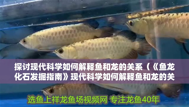 探討現代科學如何解釋魚和龍的關系（《魚龍化石發掘指南》現代科學如何解釋魚和龍的關系）