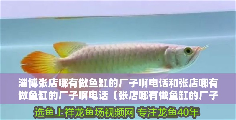 淄博張店哪有做魚缸的廠子啊電話和張店哪有做魚缸的廠子啊電話（張店哪有做魚缸的廠子啊電話）