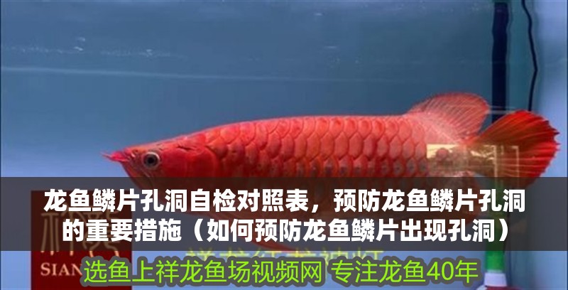 龍魚鱗片孔洞自檢對照表，預防龍魚鱗片孔洞的重要措施（如何預防龍魚鱗片出現孔洞）