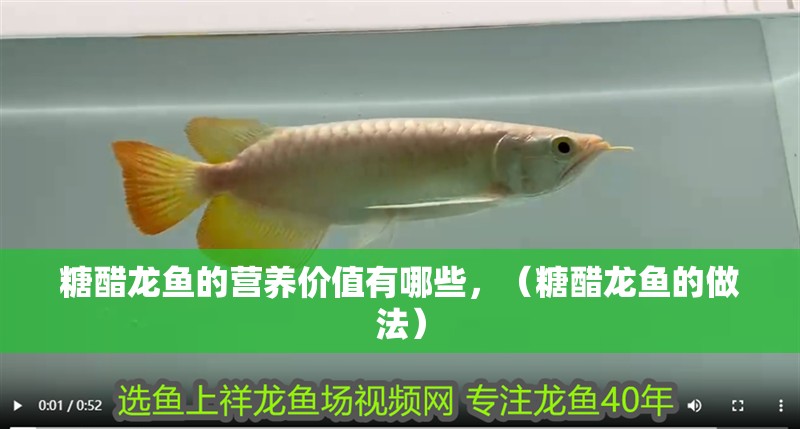糖醋龍魚的營養(yǎng)價(jià)值有哪些，（糖醋龍魚的做法）