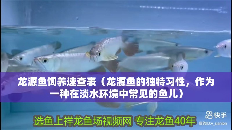 龍源魚飼養速查表（龍源魚的獨特習性，作為一種在淡水環境中常見的魚兒）