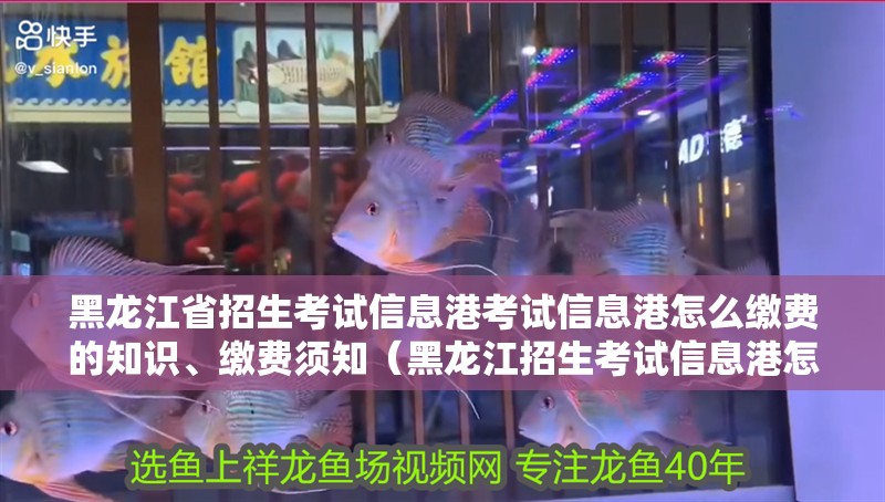黑龍江省招生考試信息港考試信息港怎么繳費的知識、繳費須知（黑龍江招生考試信息港怎么繳費）
