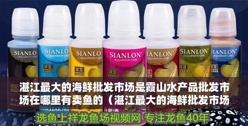 湛江最大的海鮮批發(fā)市場是霞山水產(chǎn)品批發(fā)市場在哪里有賣魚的（湛江最大的海鮮批發(fā)市場）
