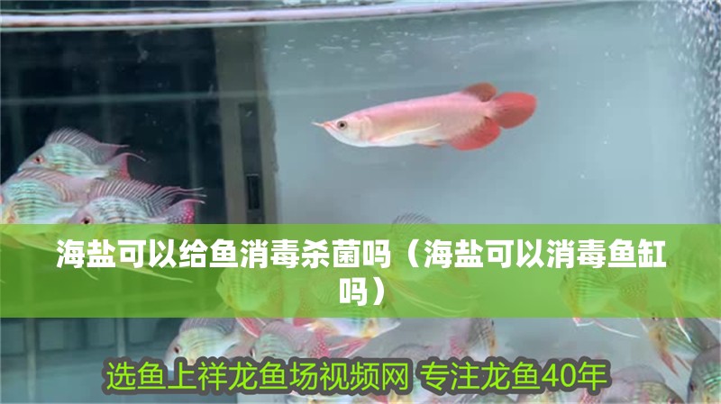 海鹽可以給魚(yú)消毒殺菌嗎（海鹽可以消毒魚(yú)缸嗎）