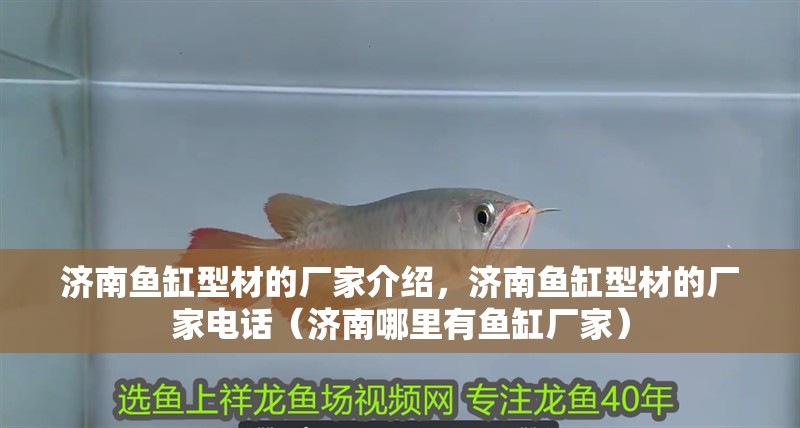 濟南魚缸型材的廠家介紹，濟南魚缸型材的廠家電話（濟南哪里有魚缸廠家）