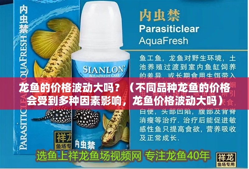 龍魚的價(jià)格波動(dòng)大嗎？（不同品種龍魚的價(jià)格會(huì)受到多種因素影響，龍魚價(jià)格波動(dòng)大嗎）