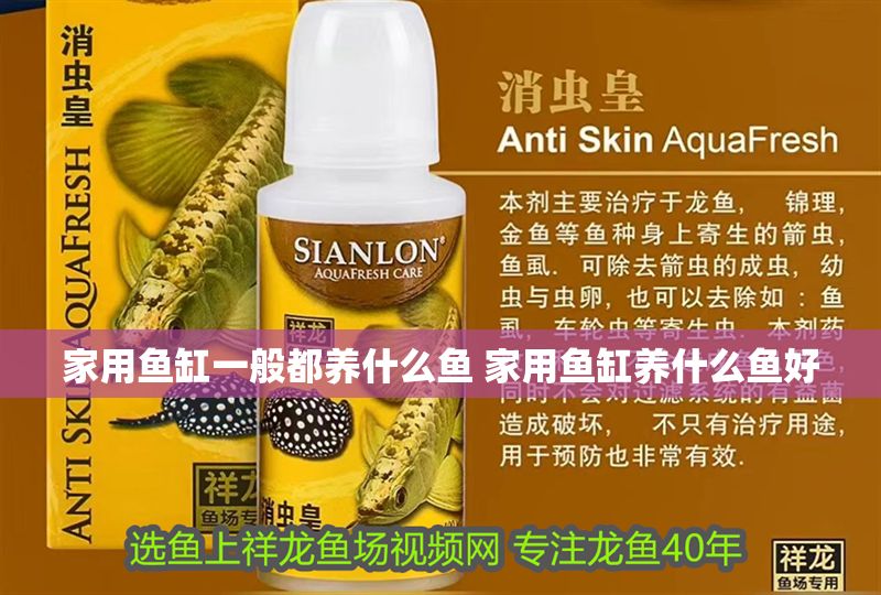 家用魚缸一般都養什么魚 家用魚缸養什么魚好