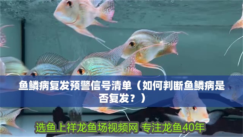 魚鱗病復發預警信號清單（如何判斷魚鱗病是否復發？）