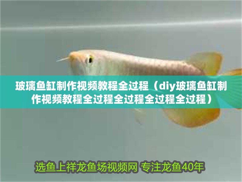 玻璃魚缸制作視頻教程全過程（diy玻璃魚缸制作視頻教程全過程全過程全過程全過程）