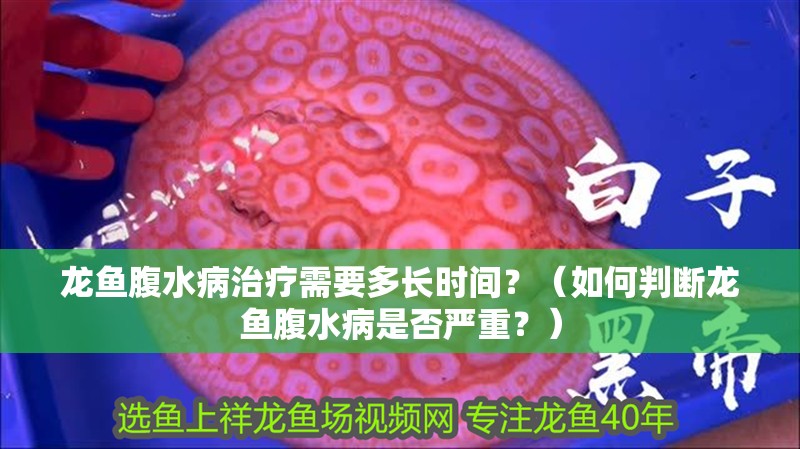 龍魚腹水病治療需要多長時(shí)間？（如何判斷龍魚腹水病是否嚴(yán)重？）