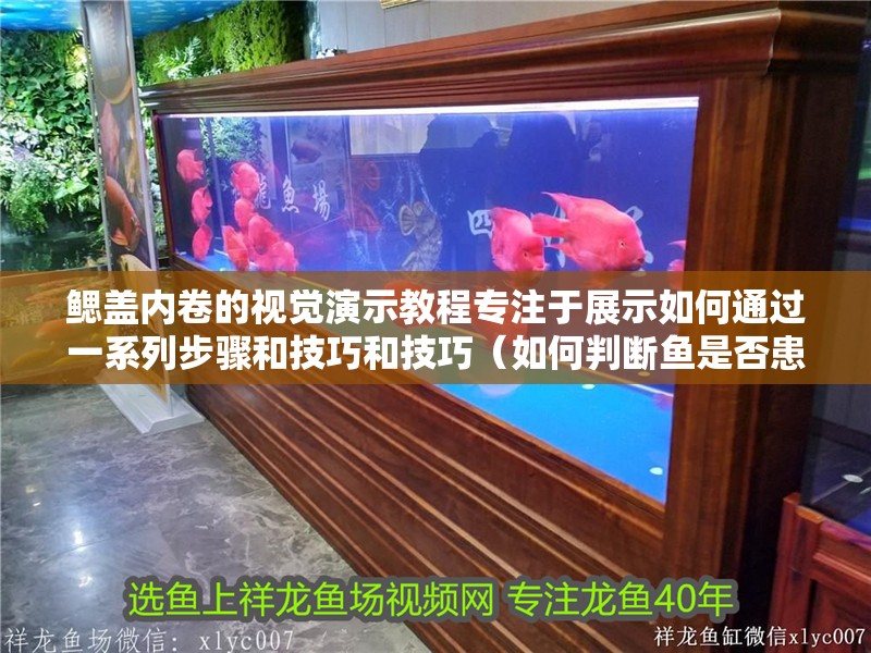 鰓蓋內(nèi)卷的視覺演示教程專注于展示如何通過一系列步驟和技巧和技巧（如何判斷魚是否患有鰓蓋內(nèi)卷）