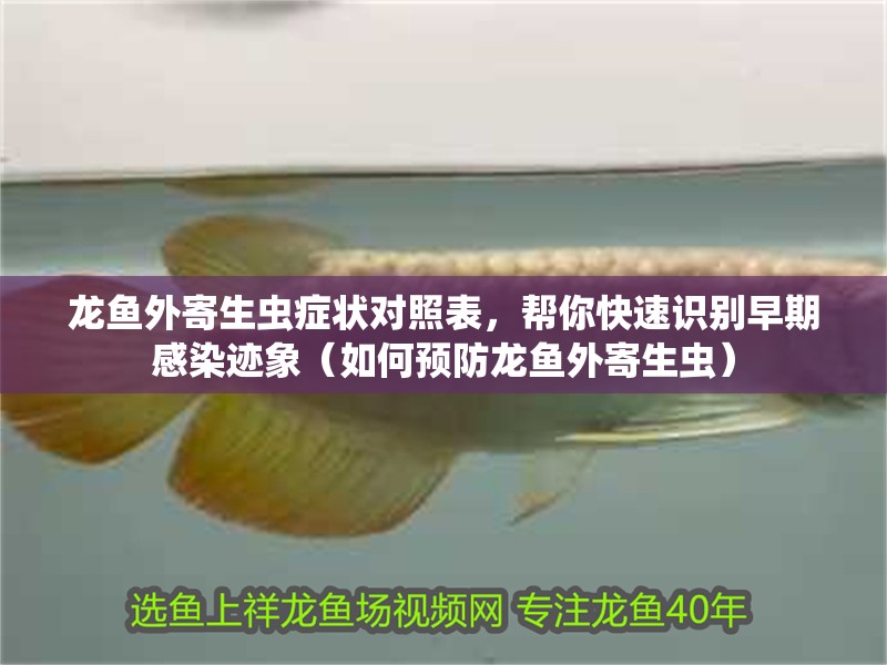 龍魚外寄生蟲癥狀對照表，幫你快速識別早期感染跡象（如何預防龍魚外寄生蟲）