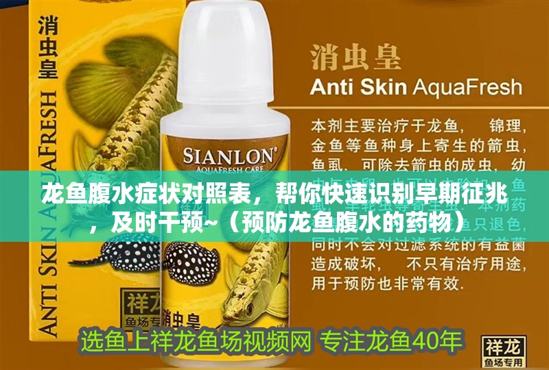 龍魚腹水癥狀對照表，幫你快速識別早期征兆，及時干預~（預防龍魚腹水的藥物）