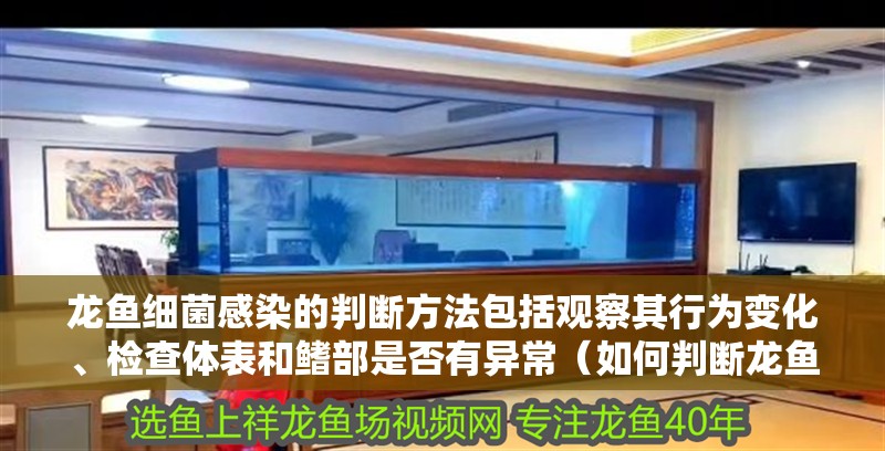 龍魚細菌感染的判斷方法包括觀察其行為變化、檢查體表和鰭部是否有異常（如何判斷龍魚是否感染細菌）