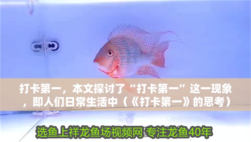 打卡第一，本文探討了“打卡第一”這一現象，即人們日常生活中（《打卡第一》的思考）