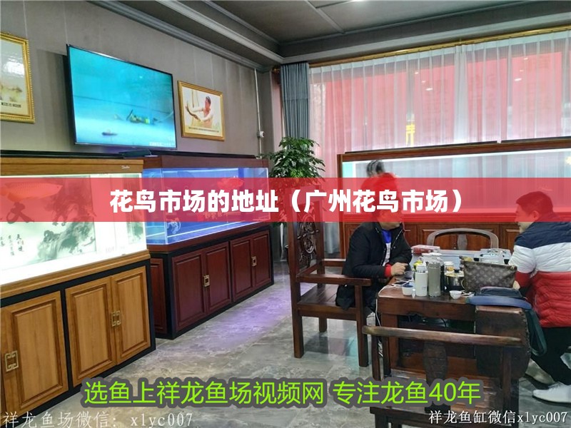 花鳥市場的地址（廣州花鳥市場）
