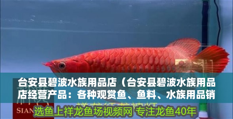 臺安縣碧波水族用品店（臺安縣碧波水族用品店經營產品：各種觀賞魚、魚料、水族用品銷售）