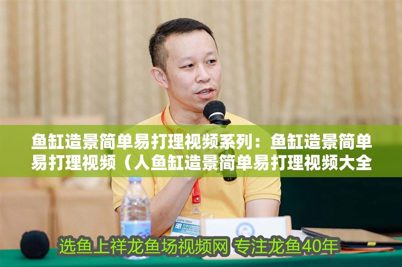 魚缸造景簡單易打理視頻系列：魚缸造景簡單易打理視頻（人魚缸造景簡單易打理視頻大全）