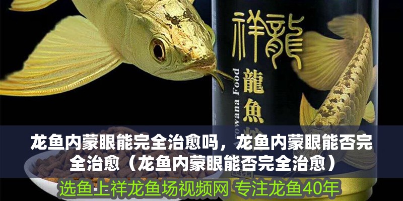 龍魚內蒙眼能完全治愈嗎，龍魚內蒙眼能否完全治愈（龍魚內蒙眼能否完全治愈）