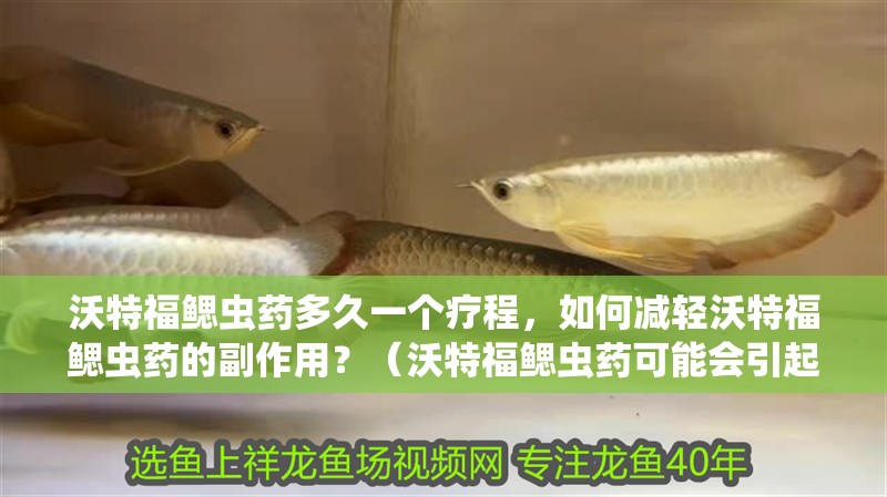 沃特福鰓蟲藥多久一個(gè)療程，如何減輕沃特福鰓蟲藥的副作用？（沃特福鰓蟲藥可能會(huì)引起過敏反應(yīng)，醫(yī)生建議及時(shí)就醫(yī)）