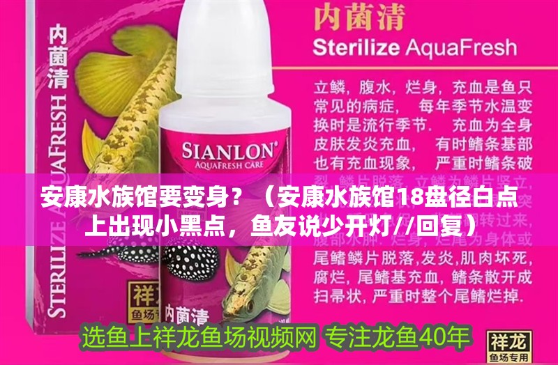 安康水族館要變身？（安康水族館18盤徑白點(diǎn)上出現(xiàn)小黑點(diǎn)，魚友說少開燈//回復(fù)）