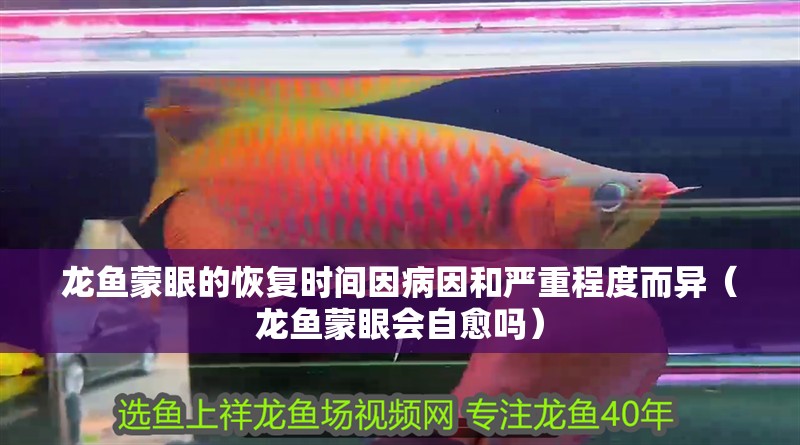 龍魚蒙眼的恢復時間因病因和嚴重程度而異（龍魚蒙眼會自愈嗎）