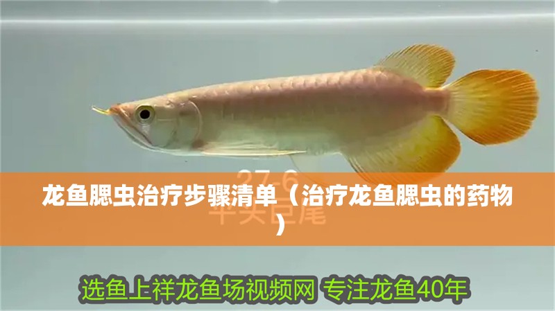龍魚腮蟲治療步驟清單（治療龍魚腮蟲的藥物）