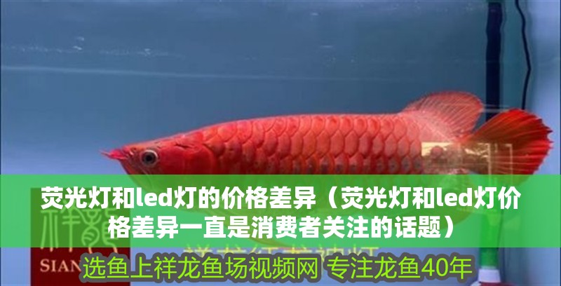 熒光燈和led燈的價格差異（熒光燈和led燈價格差異一直是消費者關注的話題）