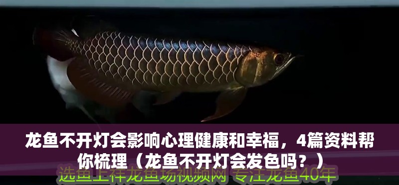 龍魚(yú)不開(kāi)燈會(huì)影響心理健康和幸福，4篇資料幫你梳理（龍魚(yú)不開(kāi)燈會(huì)發(fā)色嗎？）