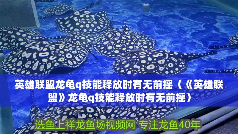 英雄聯(lián)盟龍龜q技能釋放時(shí)有無(wú)前搖（《英雄聯(lián)盟》龍龜q技能釋放時(shí)有無(wú)前搖）