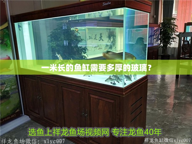 一米長的魚缸需要多厚的玻璃？