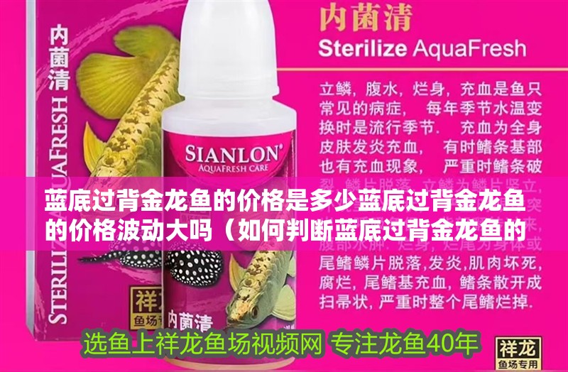 藍(lán)底過背金龍魚的價(jià)格是多少藍(lán)底過背金龍魚的價(jià)格波動(dòng)大嗎（如何判斷藍(lán)底過背金龍魚的價(jià)格）