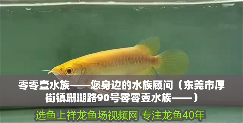 零零壹水族——您身邊的水族顧問（東莞市厚街鎮珊瑚路90號零零壹水族——）